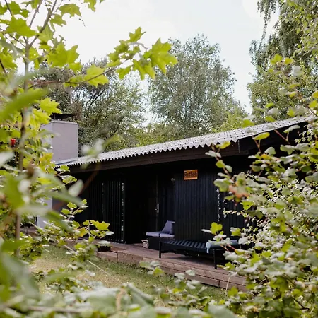 Birdsong And The Sound Of Waves At Reerso